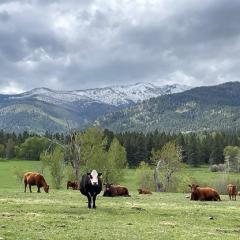 Photo: western views from Roy Ranch of the Bitterroot Mountains and Bitterroot National Forest