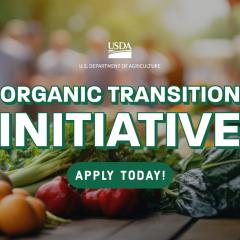 Text reads: Organic Transition Initiative - Apply Today. Superimposed over an image of colorful produce on a outdoor table.