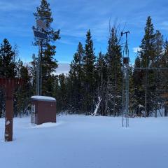 snow telemetry site in woods with snow on the ground