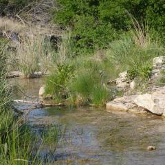 Water Outside