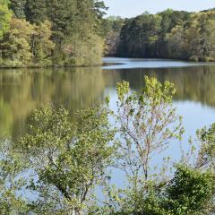Lake Lynn North Carolina site of Dam 22.