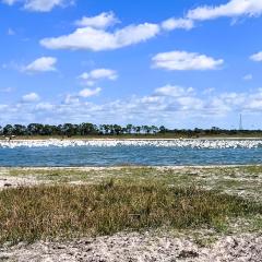 Florida easement featuring a wetland. 