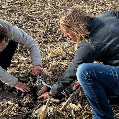 State Soil Health Specialist Hillary Olson digs into some southwest Iowa soil with Southwest Iowa Area Soil Health Specialist Ruth Blomquist.