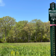 Conservation easement sign at Sowams Marsh WRE restoration site in Warren, RI, May 12, 2023.