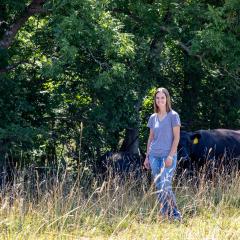 Lillie Beringer-Crock with her cattle in a grazing pasture