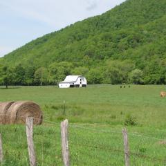 WV Pasture