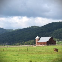 conservation farm pasture barn