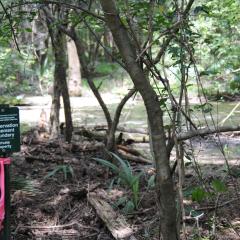 A conservation easement boundary sign with a wetland in the background.