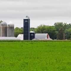 Minnesota Farmstead