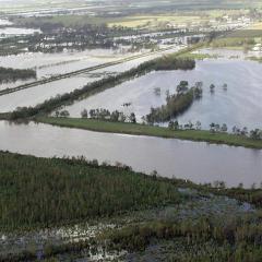 Vermilion River Watershed Flooding