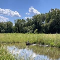 A 15-acre wetland was restored on a property in Lebanon County, PA.