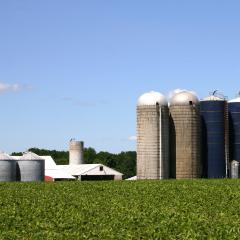 Farm