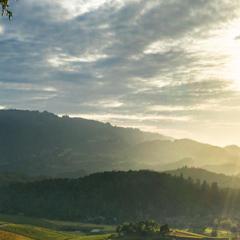 California Horizon