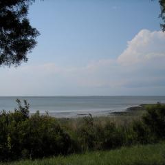 Coastal shoreline with trees surrounding