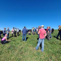 Group of grazing school participants in a field. 