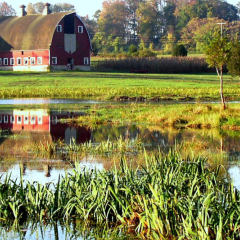 Wetland Reserve Easements