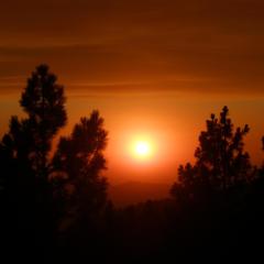 Sunset at the Rough Fire. The Rough Fire near Hume Lake in the Sierra National Forest, CA began on Jul. 30, 2015 and has consumed an estimated 81,549 acres. The fire was caused by lightning. USFS photo.