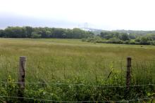 Farmland with the Newport Bridge in the distance.
