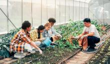 A adult person and 4 youths squatting down to examine plants while the adult teaches in a high tunnel structure.
