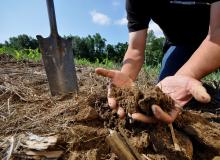 A man crouches down and holds soil in two hands.