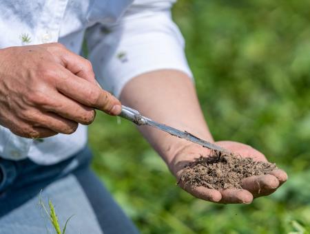 Former Indiana NRCS state soil health specialist Stephanie McLain checks corn seed depth and analyzes the soil at Wenning Farm in Greensburg, IN May 24, 2021.