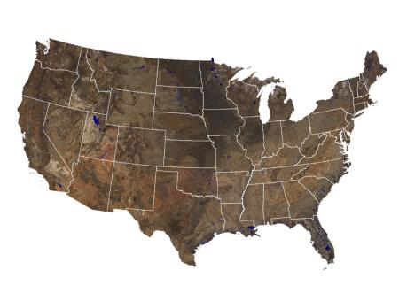 Map of soil colors at 5 cm depth of the lower 48 United States.