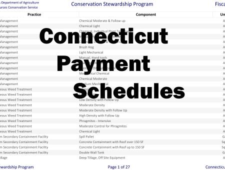 Screenshot of a list of Connecticut's Payment Schedules from previous year.