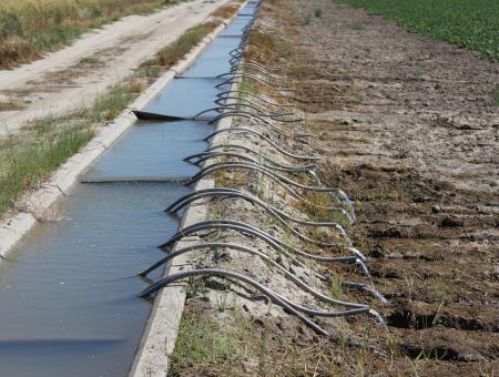 Channel Irrigation 