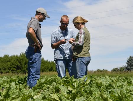 NRCS employee and producers consult over soil and crop conditions near Hysham, Montana