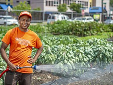 Urban Agriculture Producer