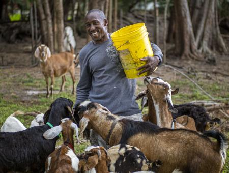 A black farmer holds a bucket with feed while a group of goats surround him