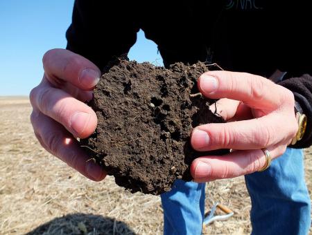 picture of healthy soils