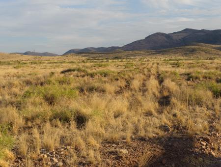 Rangeland with vegetation in the foreground, and mountains with cloudy skies in the background.