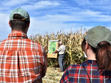 Two people watching a field day presentation in a corn field