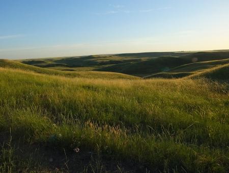 Healthy grassland on hilly landscape, with blue skies above.