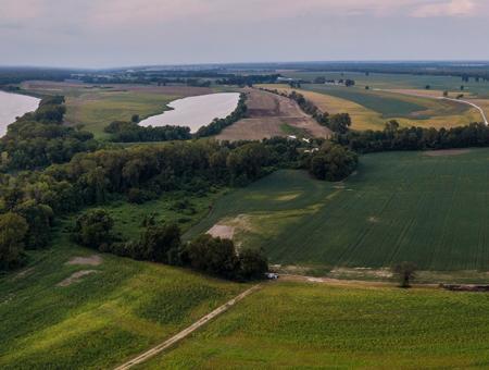 Aerial photo of croplands separated by windbreak trees, next to a pond