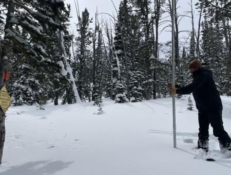 Man in forest measuring snow