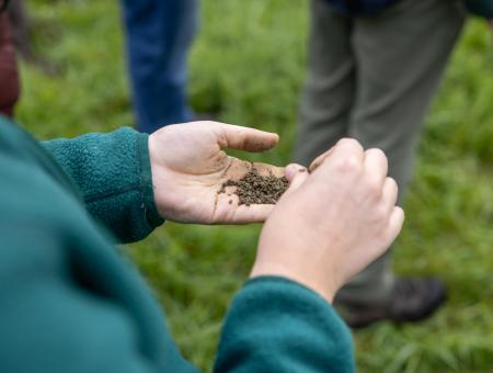 Soil in hands