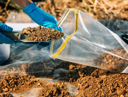 a scientist scooping soil into a plastic bag