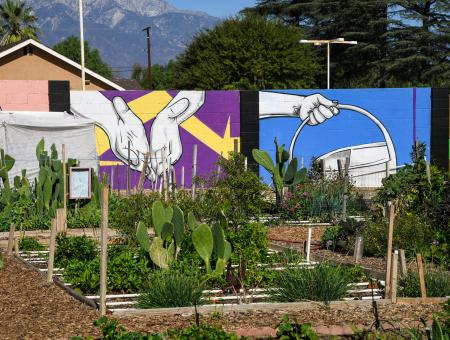 &quot;Wall panels with artwork titled &quot;Manos a la obra&quot;  (Hands at work) by Manone line one side of the Community garden plots are just half of the Huerta del Valle (HdV) 4-Acre organic Community Supported Garden and Farm in the middle of a low-income urban community, where Co-Founder and Executive Director Maria Alonso and U.S. Department of Agriculture (USDA) Natural Resources Conservation Service (NRCS) Redlands District Conservationist Tomas Aguilar-Campos work closely as she continues to impr