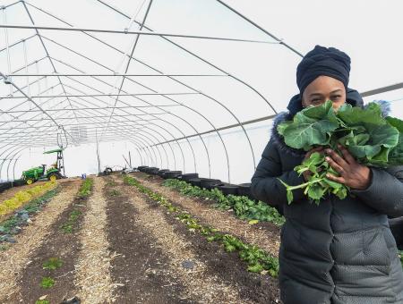 Sharrona Moore, the found of Lawrence Community Gardens, harvests collard greens in the garden's high tunnel on Feb. 2, 2021. The high tunnel was funded in part through the Natural Resources Conservation Services' Environmental Quality Incentives Program (EQIP), which Moore signed up for in 2018. The EQIP funding will also be used to plant a hedgerow at the garden located in Lawrence, Indiana. (Indiana NRCS photo by Brandon O'Connor)