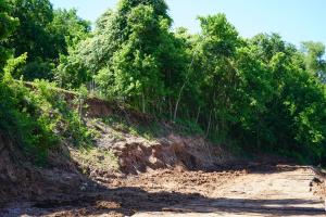 Excessive rainfall during Hurricane Harvey caused channel bank erosion and uprooted trees in Harris County, Texas.