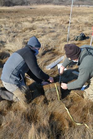soil scientists conducting soil survey