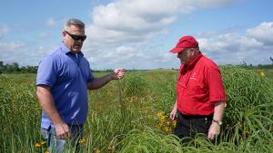 Alan Shadow and Anthony Souther check on the native vegetation growing at the Caddo Mounds State Historic Site.