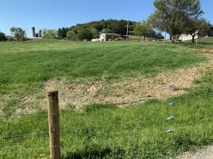 Animal concentration area after seeding