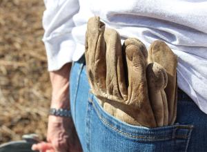 Landowner with gloves in back pocket