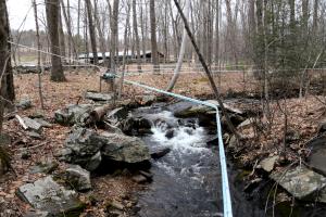 Tubing in the sugarbush at Shattuck's Sugarhouse maple sugaring operation in Belchertown, Massachusetts.