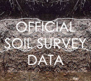 Minnesota Official Soil Survey Data 