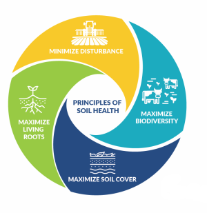 Soil Health Principles Graphic