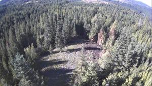 overhead image of a forest with a clearing in the middle